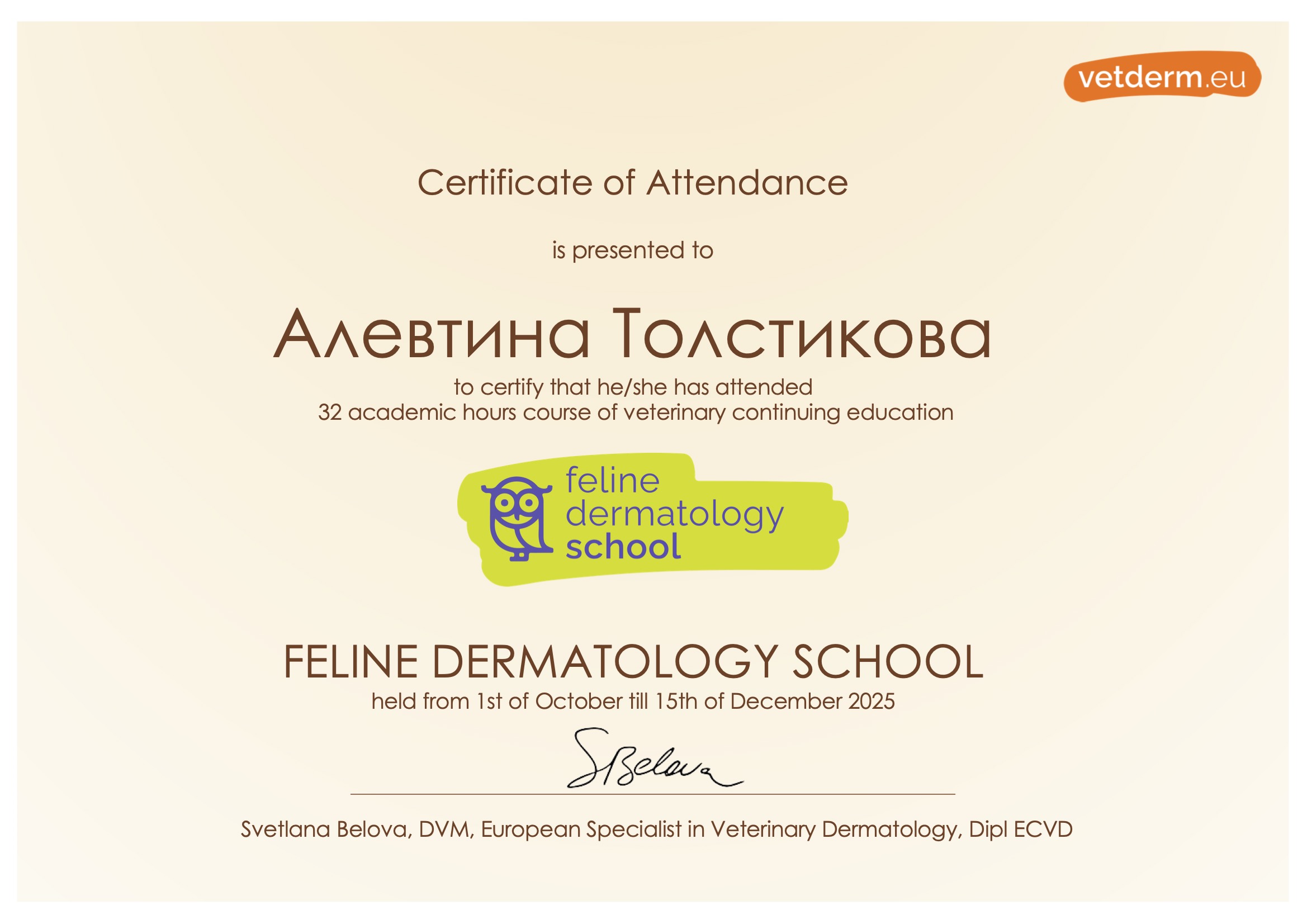 Сертификат по дерматологии кошек